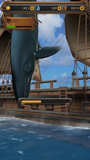 追逐鲸鱼