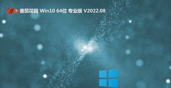 Windows10 64位
